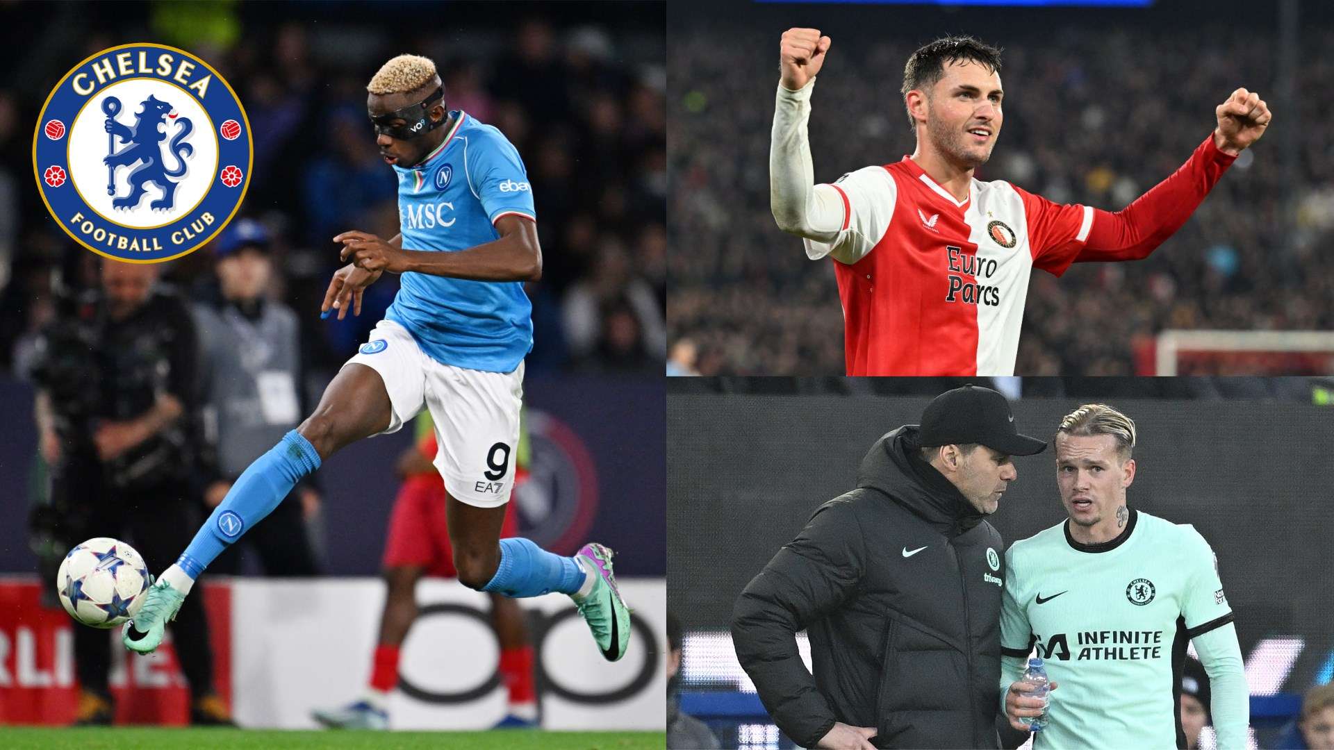 人才资源 人才资源